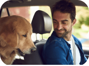 Pet friendly taxi services