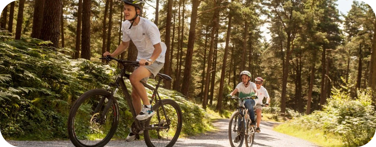 Cycle Routes in Norfolk – Explore the Best UK Trails