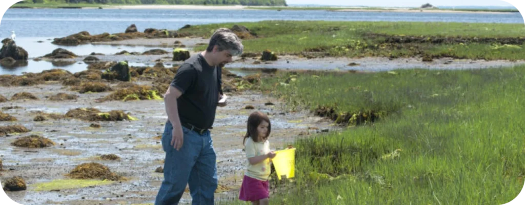Things to Do Around the Salt Marshes