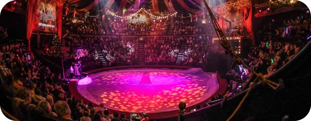 What You Can Expect at Cobholm Circus